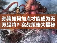 孫策如何加點(diǎn)才能成為無雙猛將？實(shí)戰(zhàn)策略大揭秘！