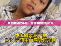 女主播自救手冊(cè)，困境中的智慧之光