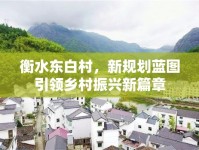 衡水東白村，新規(guī)劃藍(lán)圖引領(lǐng)鄉(xiāng)村振興新篇章