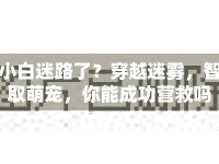 小白迷路了？穿越迷霧，智取萌寵，你能成功營救嗎？