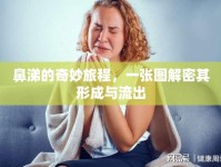 鼻涕的奇妙旅程，一張圖解密其形成與流出