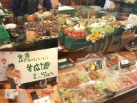 Moba手游如何助你提升策略與操作技巧？