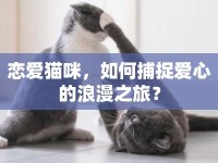 戀愛貓咪，如何捕捉愛心的浪漫之旅？