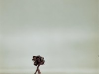 男搞女現(xiàn)象背后隱藏了哪些社會與心理因素？