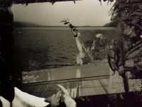 夢(mèng)幻俠侶手游，浪漫與冒險(xiǎn)的奇幻之旅，你怎能錯(cuò)過？