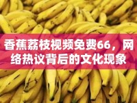 香蕉荔枝視頻免費(fèi)66，網(wǎng)絡(luò)熱議背后的文化現(xiàn)象