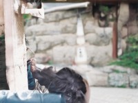 熱血江湖手游，低級(jí)石頭如何打造基礎(chǔ)，開啟傳奇之旅？