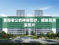 董卿老公的神秘面紗，揭秘其真實(shí)照片