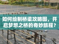 如何繪制橋梁攻略圖，開啟夢(mèng)想之橋的奇妙旅程？