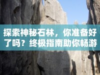 探索神秘石林，你準(zhǔn)備好了嗎？終極指南助你暢游石林游戲！