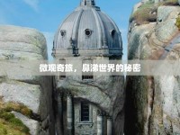 微觀奇旅，鼻涕世界的秘密