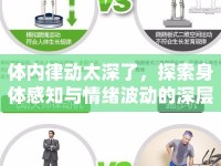 體內(nèi)律動(dòng)太深了，探索身體感知與情緒波動(dòng)的深層聯(lián)系