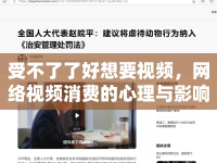 受不了了好想要視頻，網(wǎng)絡(luò)視頻消費的心理與影響探討