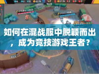如何在混戰(zhàn)服中脫穎而出，成為競(jìng)技游戲王者？