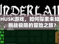 HUSK游戲，如何探索未知，挑戰(zhàn)極限的冒險之旅？
