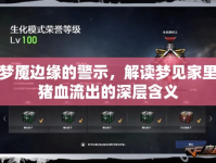 夢魘邊緣的警示，解讀夢見家里豬血流出的深層含義