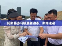 陽新縣赤馬鎮(zhèn)最新動態(tài)，新聞速遞
