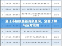 湛江市核酸最新消息查詢，全面了解與應對策略