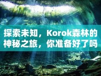 探索未知，Korok森林的神秘之旅，你準備好了嗎？