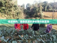 安溪參內(nèi)，茶香四溢的鄉(xiāng)村振興新篇章