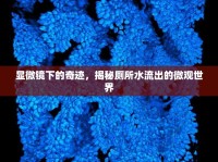 顯微鏡下的奇跡，揭秘廁所水流出的微觀世界