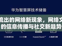 泊泊流出的網(wǎng)絡新現(xiàn)象，網(wǎng)絡文化中的信息傳播與社交新趨勢