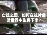 亡魂之國，如何在這片幽暗世界中生存下來？