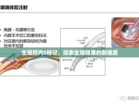 生殖腔內(nèi)S標(biāo)記，探索生殖健康的新維度