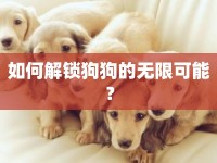 如何解鎖狗狗的無限可能？