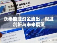 永泰能源資金流出，深度剖析與未來展望