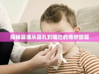 揭秘鼻涕從鼻孔到嘴巴的奇妙旅程