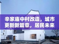 辛家廟中村改造，城市更新新篇章，居民未來美好愿景的啟航