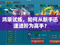 鴻蒙試煉，如何從新手迅速進階為高手？