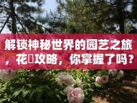 解鎖神秘世界的園藝之旅，花朧攻略，你掌握了嗎？