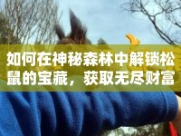 如何在神秘森林中解鎖松鼠的寶藏，獲取無盡財(cái)富？