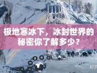 極地寒冰下，冰封世界的秘密你了解多少？