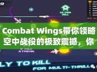 Combat Wings帶你領(lǐng)略空中戰(zhàn)役的極致震撼，你準備好了嗎？