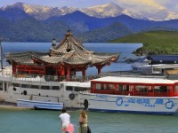 全彩無翼鳥，它們?nèi)绾卧谧匀唤缰猩媾c繁衍？