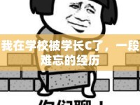 我在學(xué)校被學(xué)長C了，一段難忘的經(jīng)歷