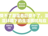 受不了潮濕吞吐受不了，潮濕環(huán)境下的生活困擾與應(yīng)對(duì)策略