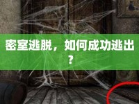 密室逃脫，如何成功逃出？