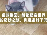 貓咪拼圖，解鎖萌寵世界的奇妙之旅，你準(zhǔn)備好了嗎？
