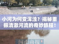 小河為何變渾濁？揭秘重振清澈河流的奇妙旅程！