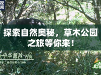探索自然奧秘，草木公園之旅等你來！
