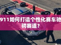 911如何打造個性化賽車馳騁賽道？