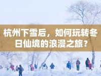 杭州下雪后，如何玩轉(zhuǎn)冬日仙境的浪漫之旅？
