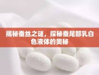 揭秘蠶絲之謎，探秘蠶尾部乳白色液體的奧秘