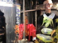 誅仙手游焚香掛機(jī)加點(diǎn)怎么操作？攻略揭秘！