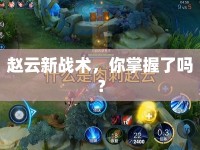 趙云新戰(zhàn)術(shù)，你掌握了嗎？