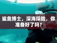 鯊魚博士，深海探險，你準(zhǔn)備好了嗎？